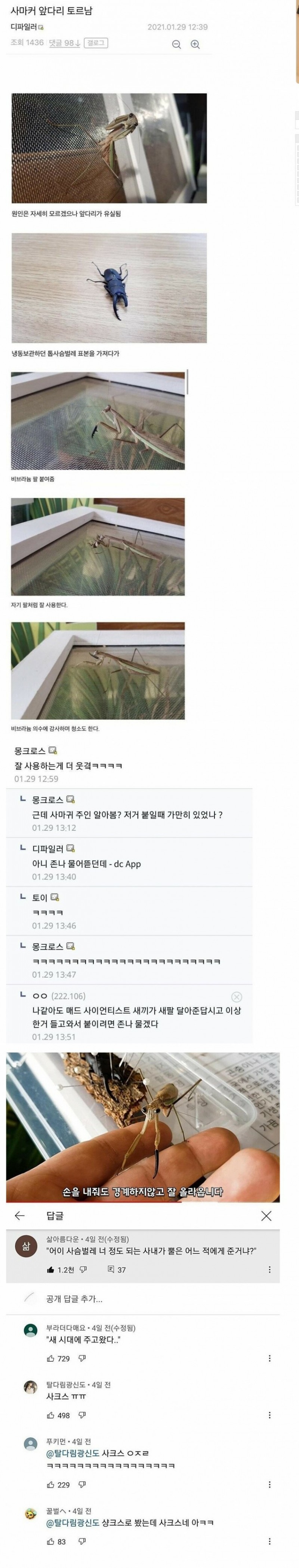 e_s0b1e9a001_61af93c8e6db4924878ab89d0ce455327b359c70.jpg 사마귀에게 비브라늄 팔을 이식해준 디씨인...jpg