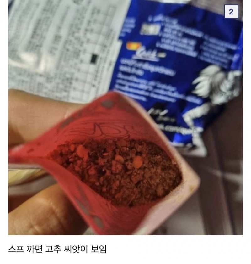 1625644758fc269ba2533701.jpg 씨만보면 정신 못차리는 식물갤러리.jpg