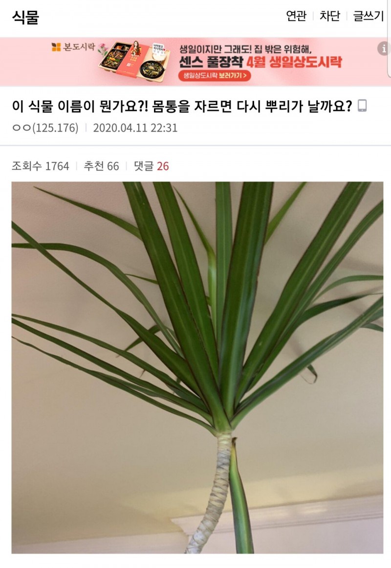 20200425_072825.jpg 디씨의 성지 식물갤 근황