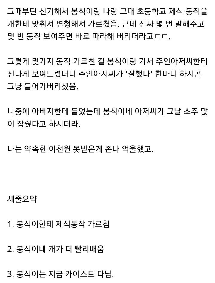 보더콜리 지능 보고 감탄한 썰