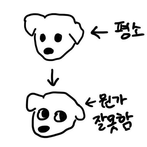 171d5ff774b4ccc85.jpg
