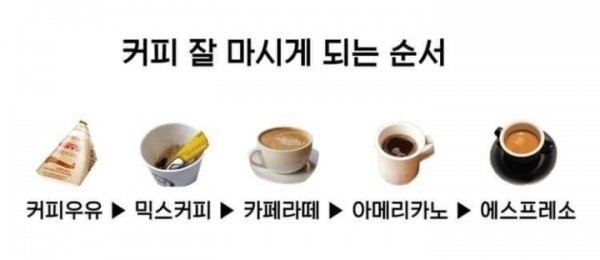 커피 잘 마시게 되는 순서