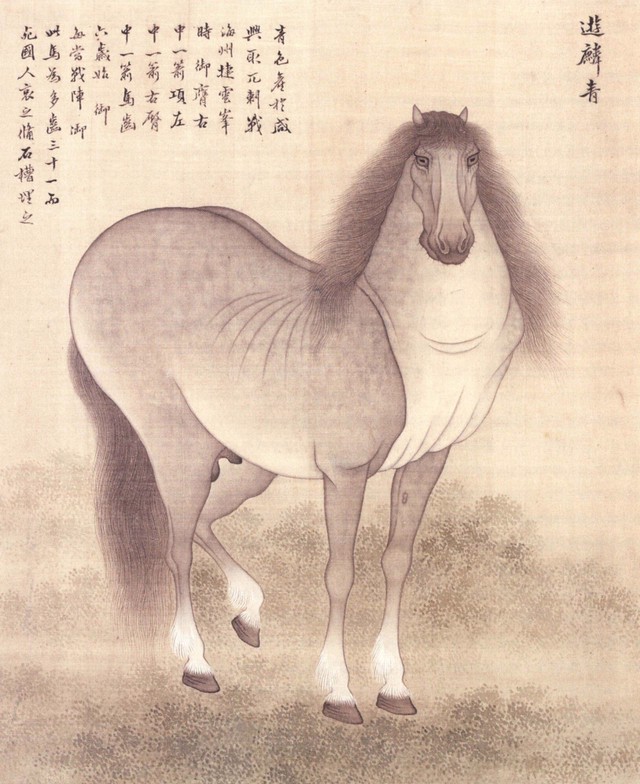image_591199992.jpg