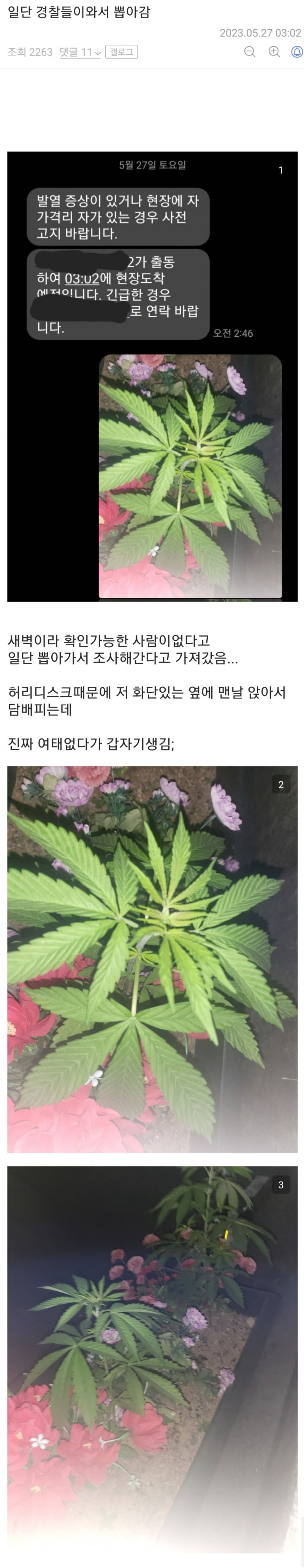 Screenshot_20230528_132332.png 어제자..대마 발견한 디씨인 근황.jpg
